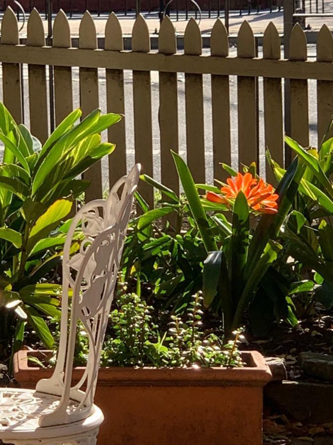 Burwood Bed And Breakfast Sydney Luaran gambar